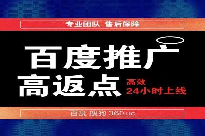 百度推广在电商行业的应用案例分析